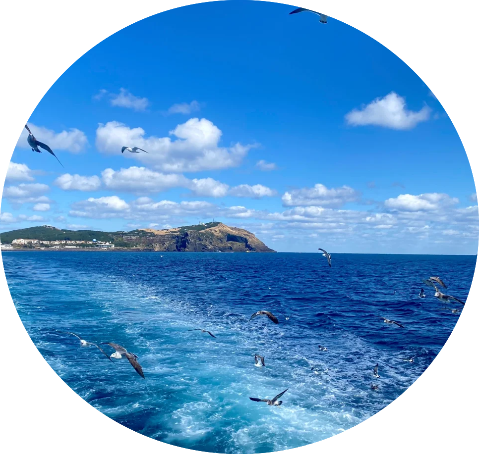 Sea